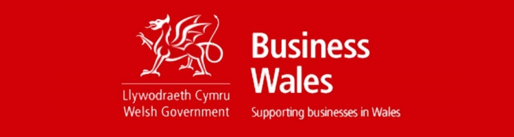 CogniTech Systems supported by Business Wales